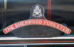 Sherwood Forester