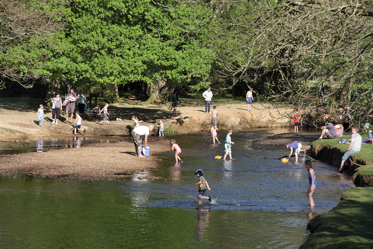 brockenhurst_beach