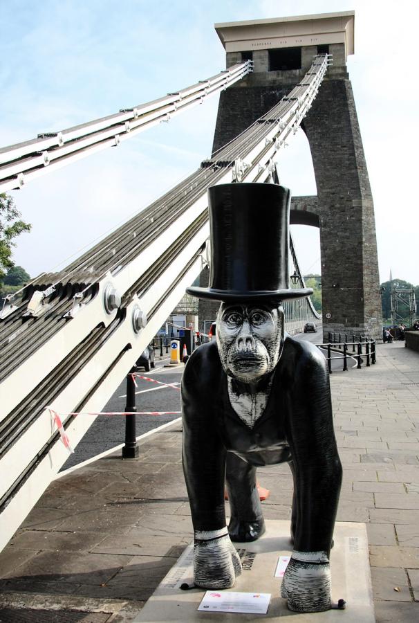 brunel_gorilla_clifton