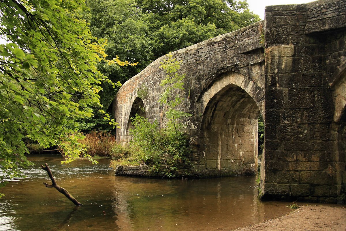 respryn_fowey