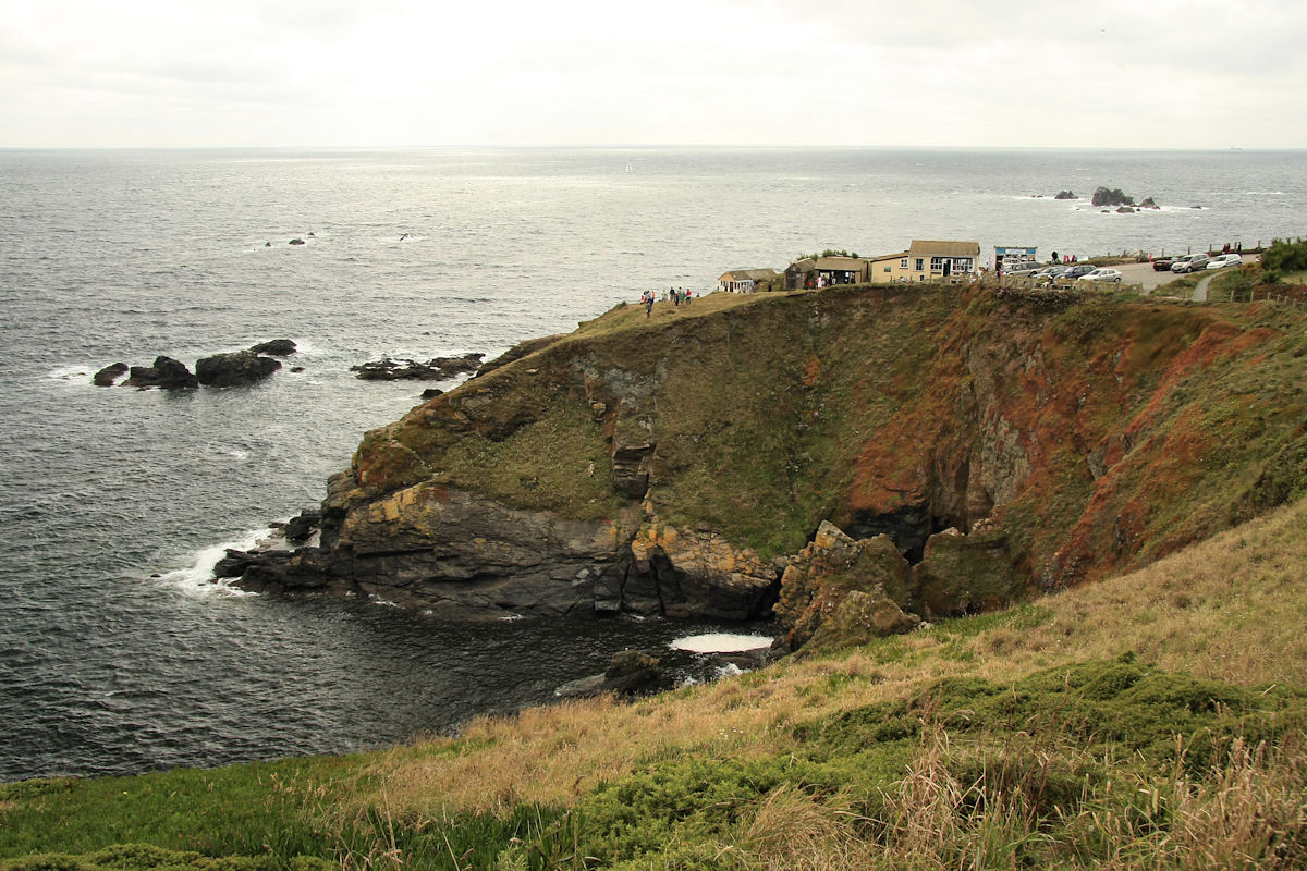 lizard_point