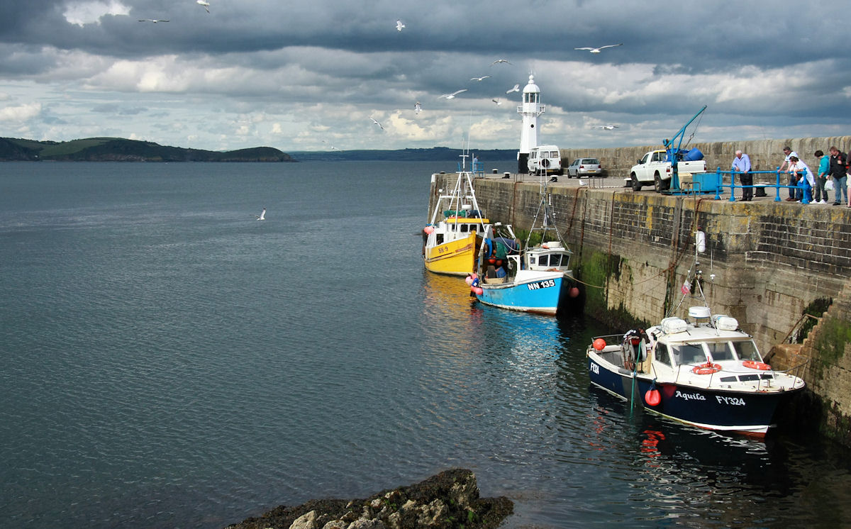 mevagissey_mole