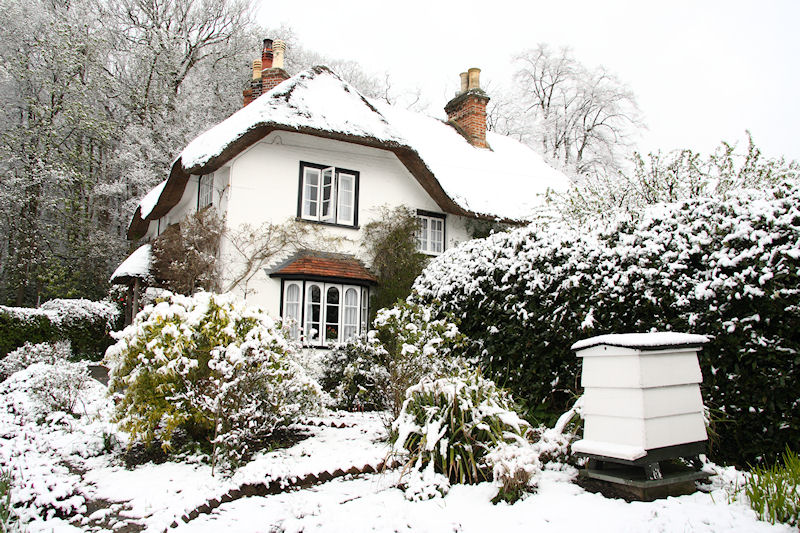 Beehive Cottage, Swan Green, Lyndhurst, Hampshire