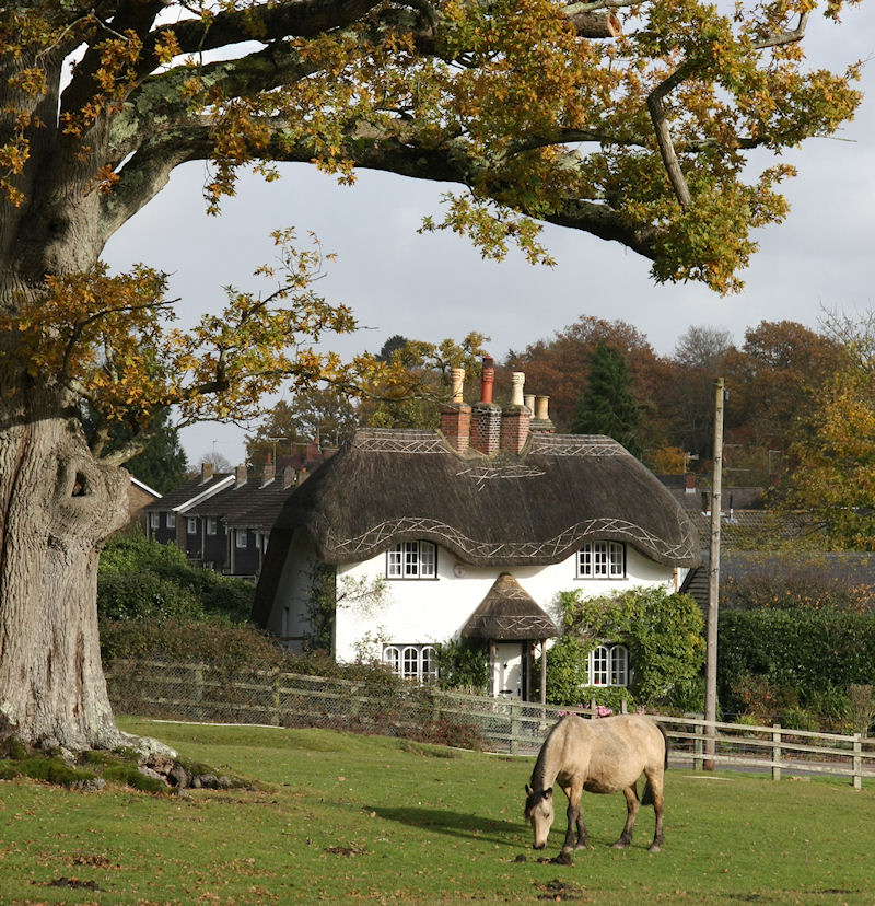 Swan Green, Beehive Cottage, Lyndhurst, Hampshire